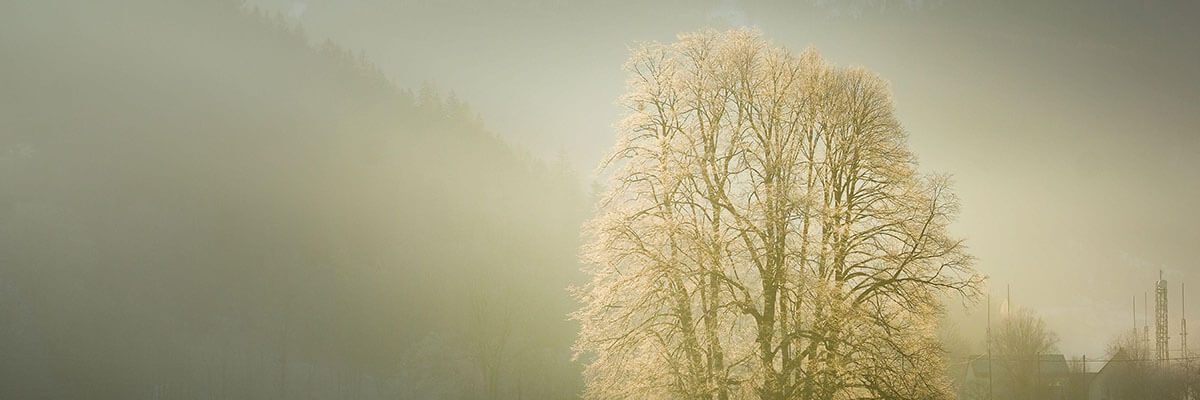 _Обложка_1200 рх